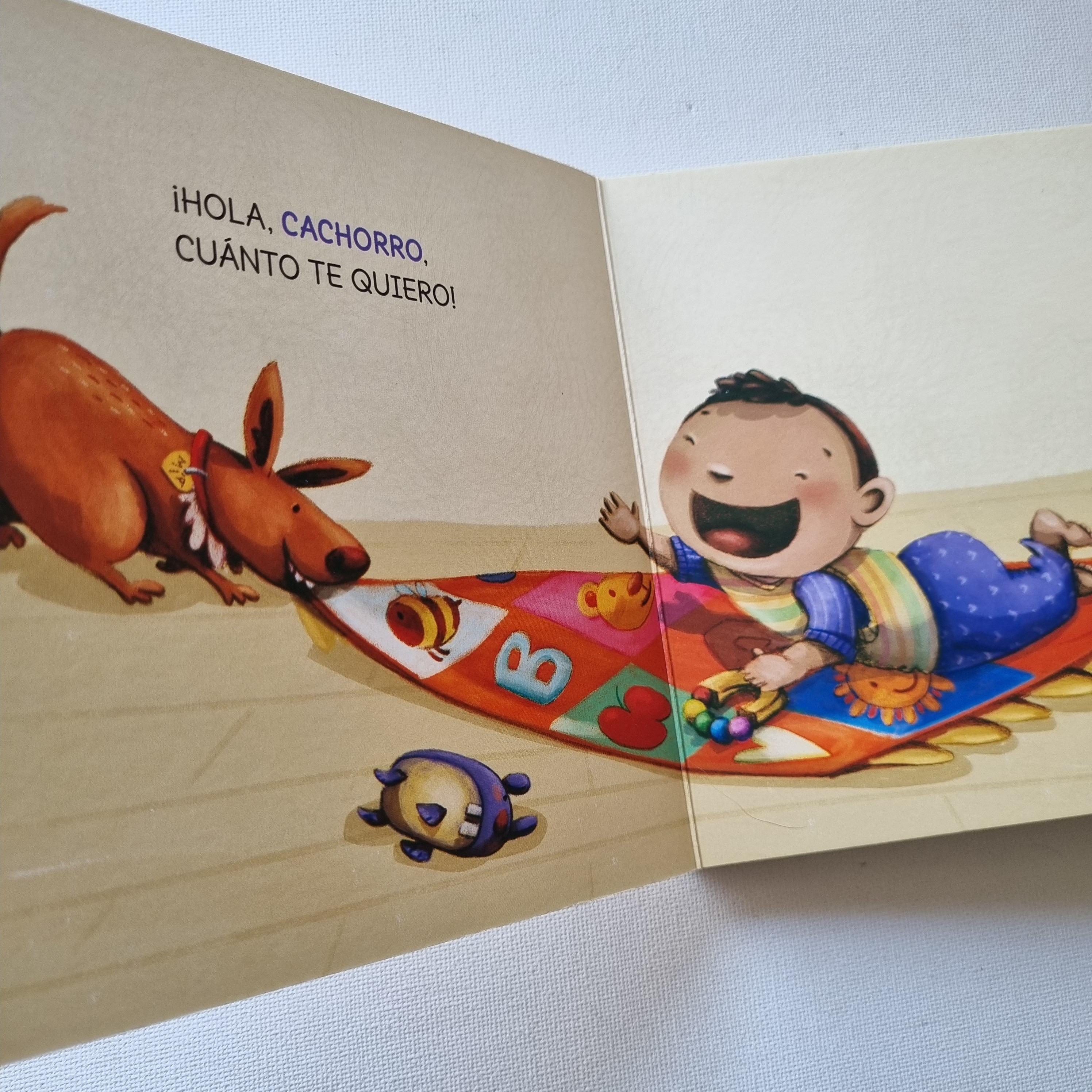 Cachorro Cachorro